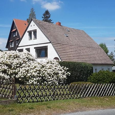 Ferienwohnung Schiller كورورت جونسدورف المظهر الخارجي الصورة